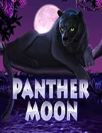 รวม เว็บ super slot ที่ควรรู้และสูตรเด็ด